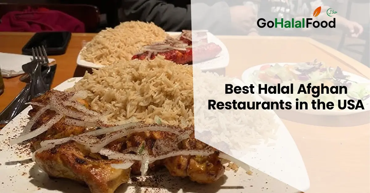 Halal Afghan meal with grilled chicken kabob seasoned rice and fresh salad served at a popular halal Afghan restaurant in the USA.