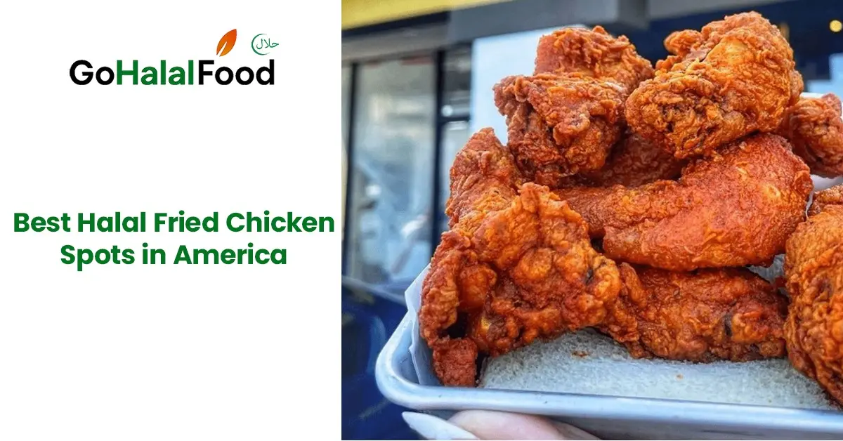 Best halal fried chicken in America served crispy and golden, showcasing trusted spots across the USA for halal dining lovers