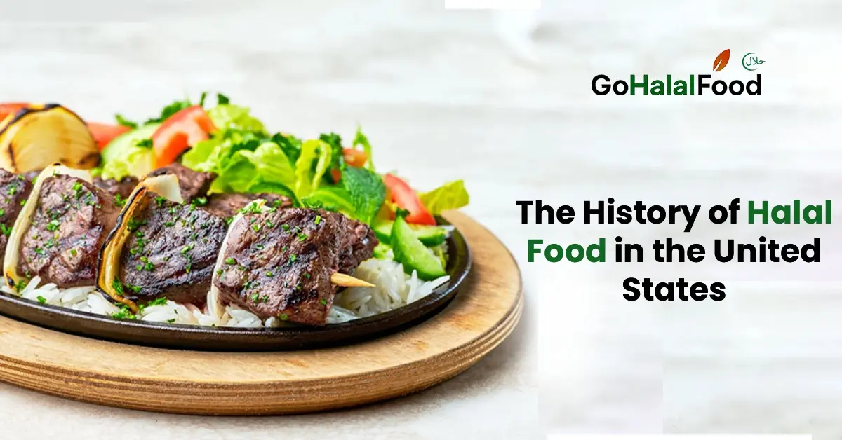 Halal beef kebabs served over rice with fresh salad, representing the history and cultural growth of halal food in the United